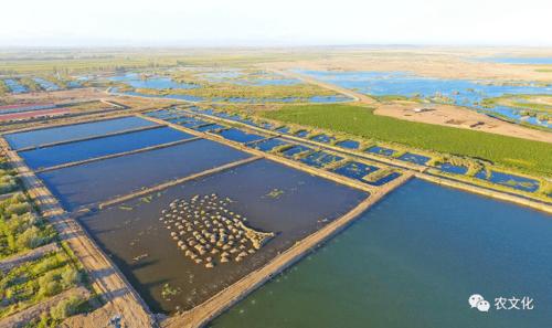 投資風向疫情影響下分析8大農業產業或將是農業5年投資重點