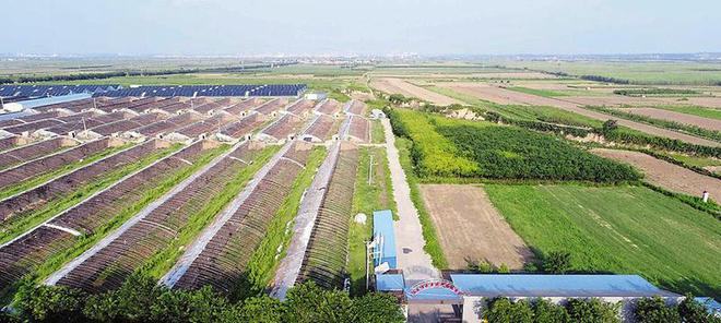 負重前行踐初心 奮楫揚帆再出發--市農投集團以改革創新促高質量發展綜述
