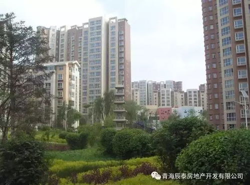 青海投資集團 企業是我家 讓家更美好 征文活動 辰泰房地產篇