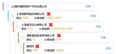 上海新海鷗房地產開發經營公司