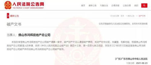 快訊 佛山市鴻輝房地產總公司宣告破產